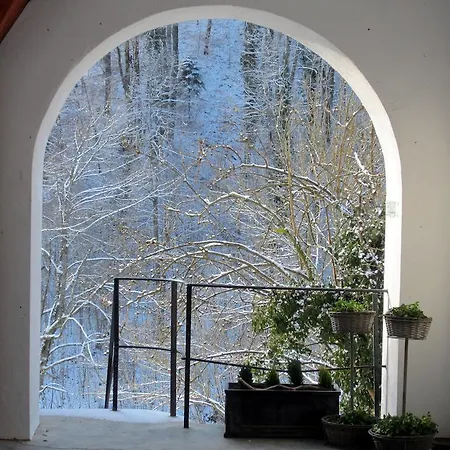 La Maison Des Fontaines D'Alsace Ferrette Room photo