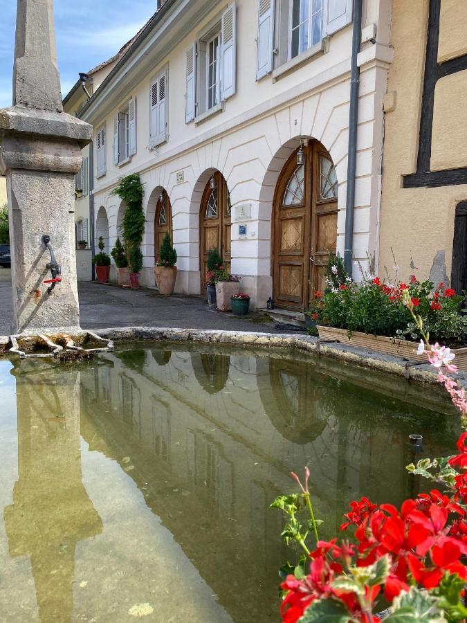 Apartment La Maison Des Fontaines D'alsace Ferrette