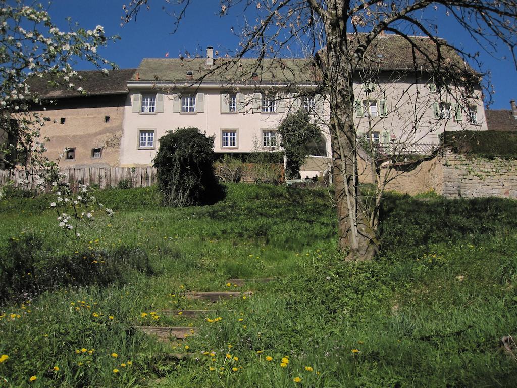 Apartment La Maison Des Fontaines D'alsace