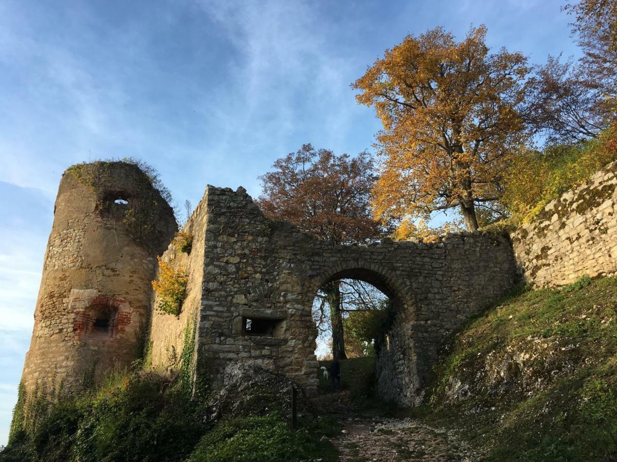 La Maison Des Fontaines D'alsace